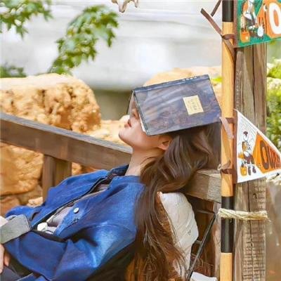 飞女正传